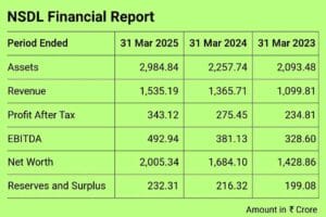 nsdl financial report